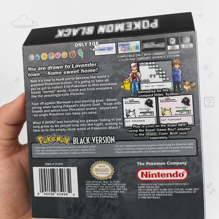 Pokemon Black (Creepypasta Fangame) - Game Boy Color — 3